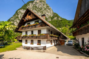 Turistična kmetija Pri Andreju Bohinjska Bistrica